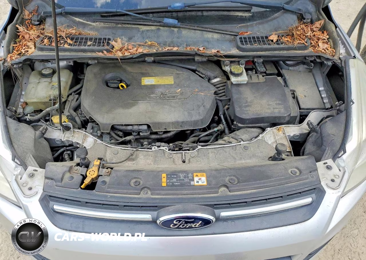 2013 Ford Escape VIN:1FMCU0GX9DUB78472 - 12