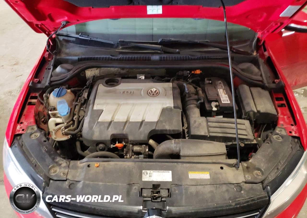 2013 Volkswagen Jetta Tdi VIN:3VWLL7AJ7DM391300 - 11