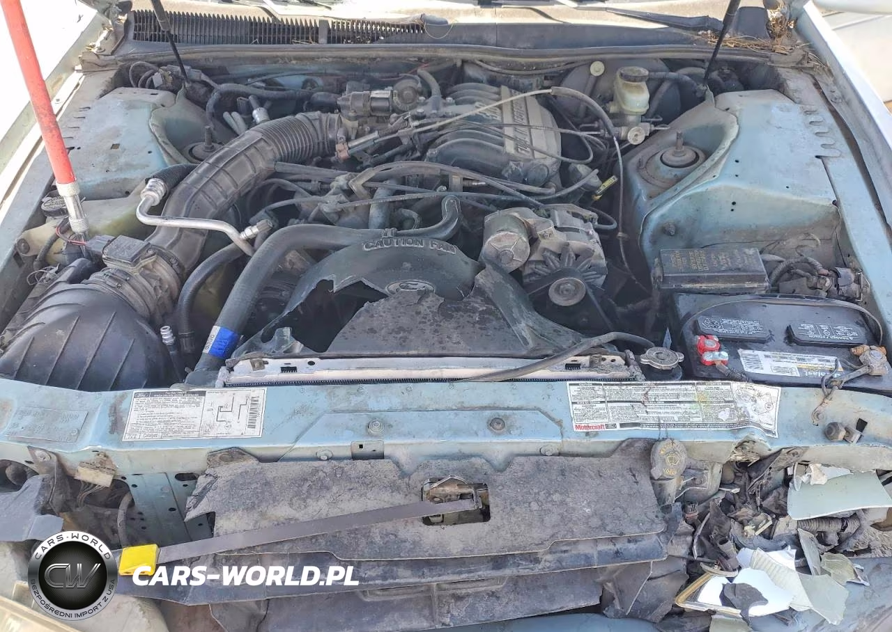 1993 Ford Thunderbird Lx VIN:1FAPP6240PH109220 - 11
