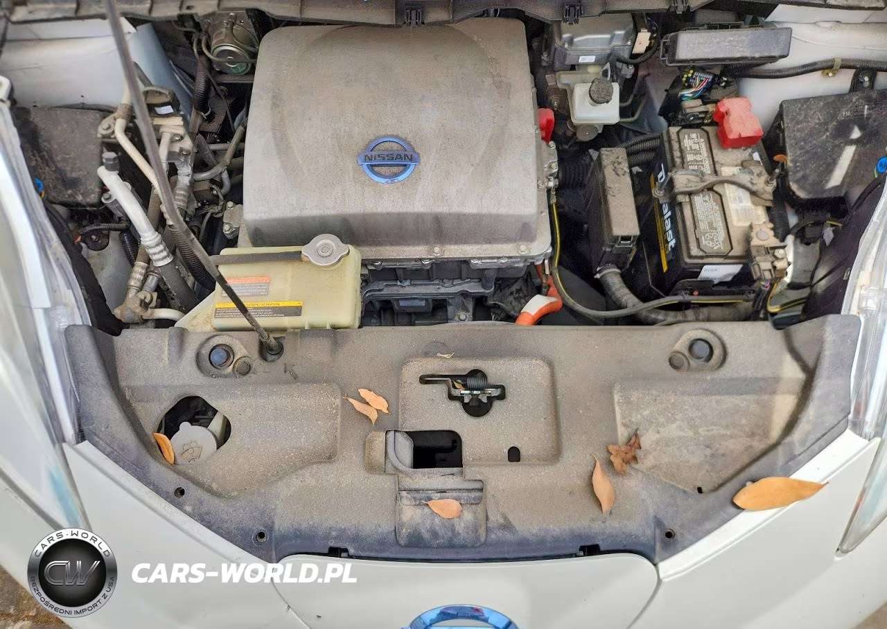 2014 Nissan Leaf Sv VIN:1N4AZ0CP1EC331684 - 11