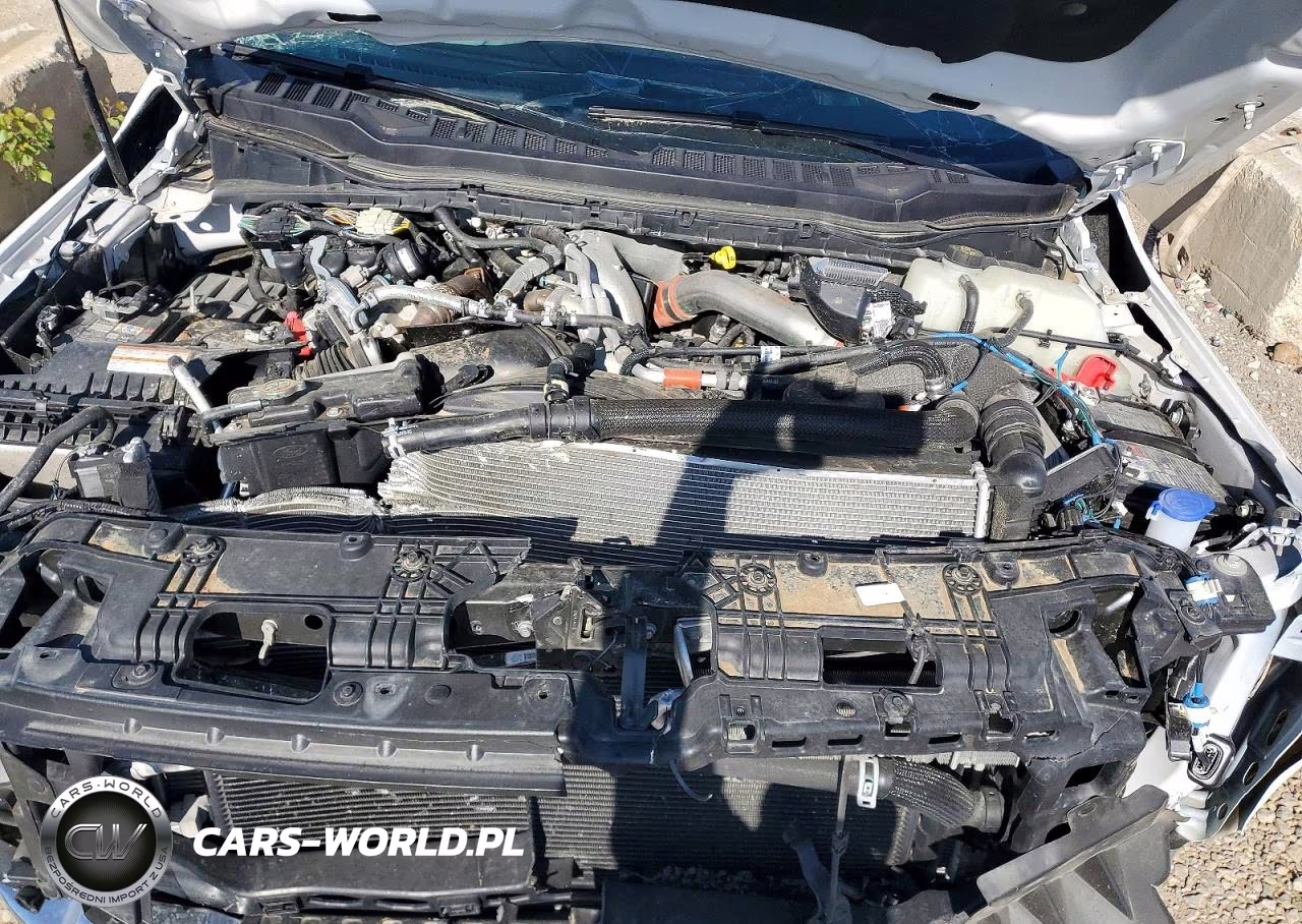 2024 Ford F250 Super Duty VIN:1FT8W2BM6REF61199 - 11
