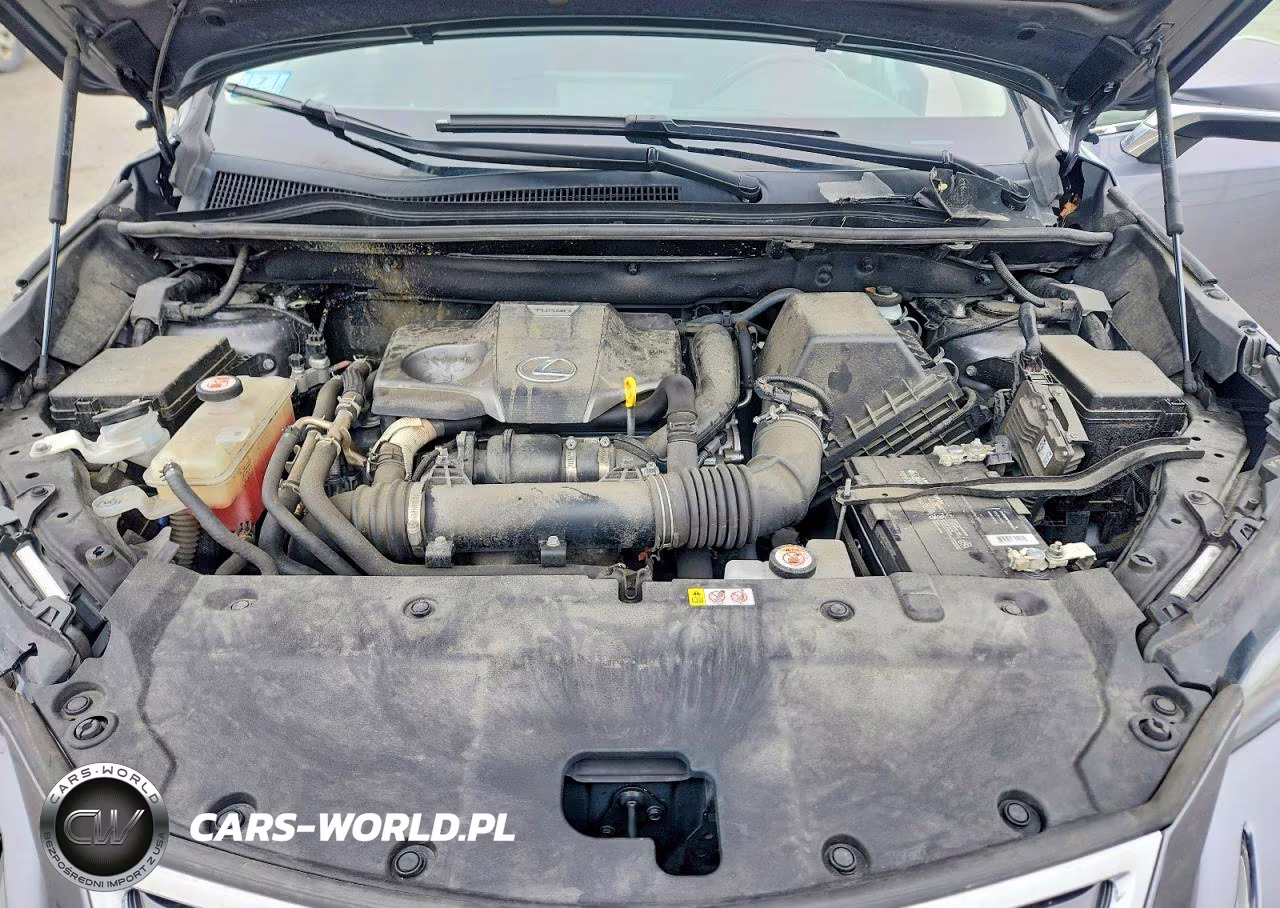 2021 Lexus Nx 300 Base VIN:JTJGARDZXM2264374 - 12