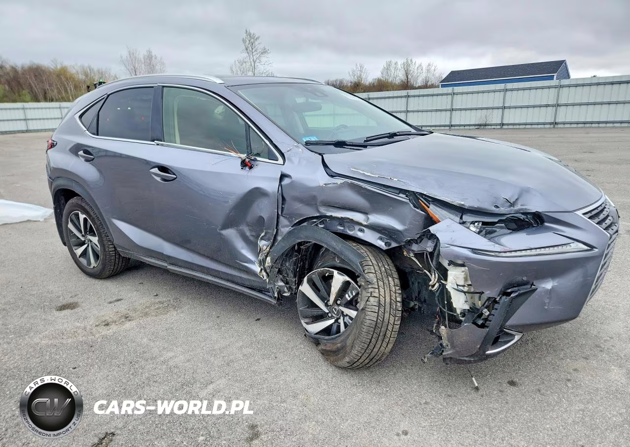 2021 Lexus Nx 300 Base VIN:JTJGARDZXM2264374 - 4