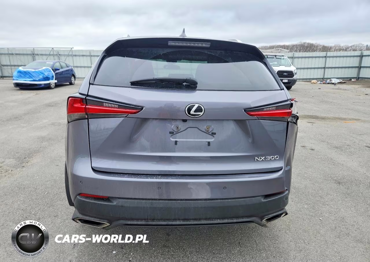 2021 Lexus Nx 300 Base VIN:JTJGARDZXM2264374 - 6