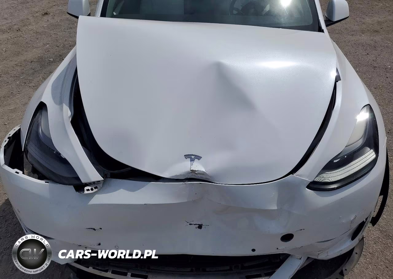 2022 Tesla Model Y VIN:7SAYGDEF4NF522368 - 12