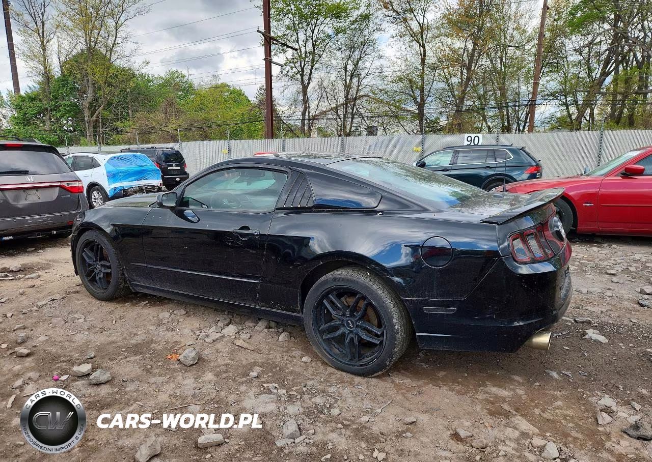 2014 Ford Mustang VIN:1ZVBP8AM2E5240372 - 2