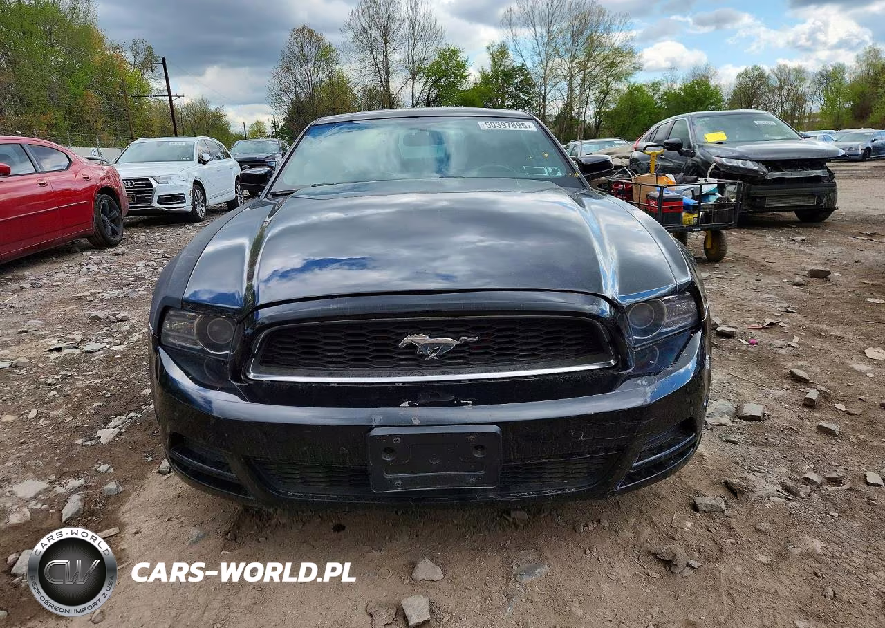 2014 Ford Mustang VIN:1ZVBP8AM2E5240372 - 5