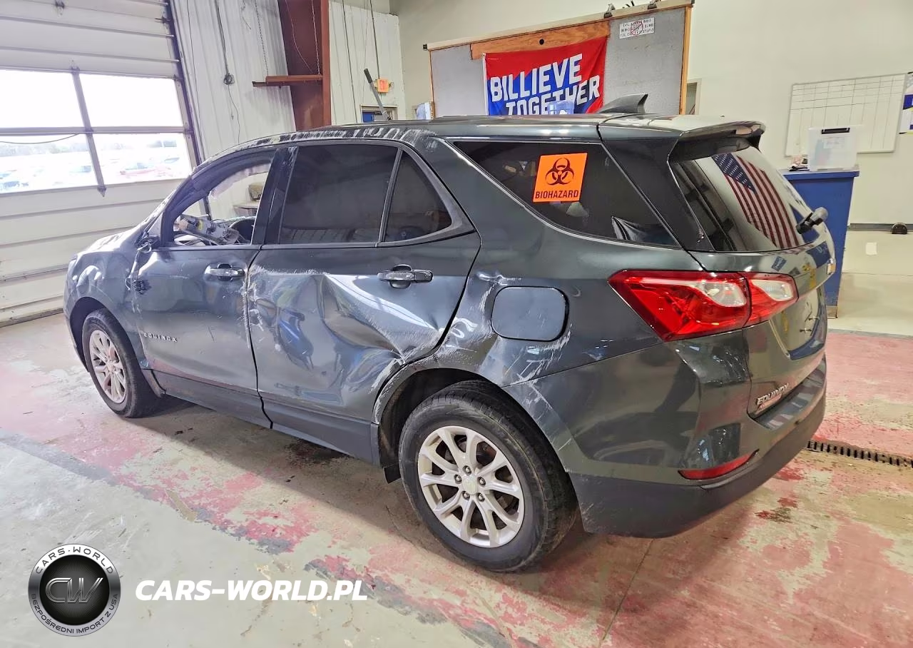 2019 Chevrolet Equinox Ls VIN:3GNAXHEV1KS652907 - 2