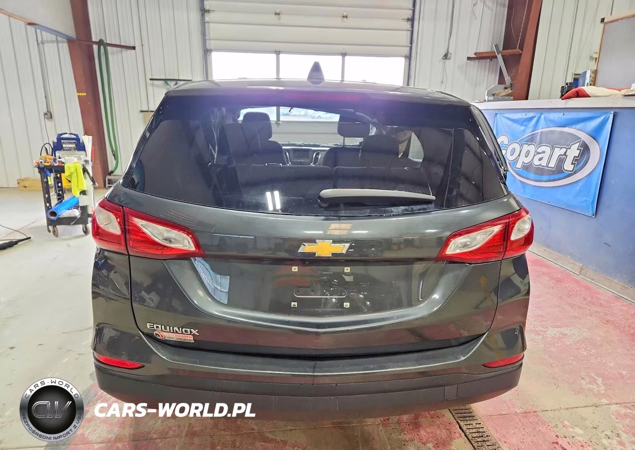 2019 Chevrolet Equinox Ls VIN:3GNAXHEV1KS652907 - 6