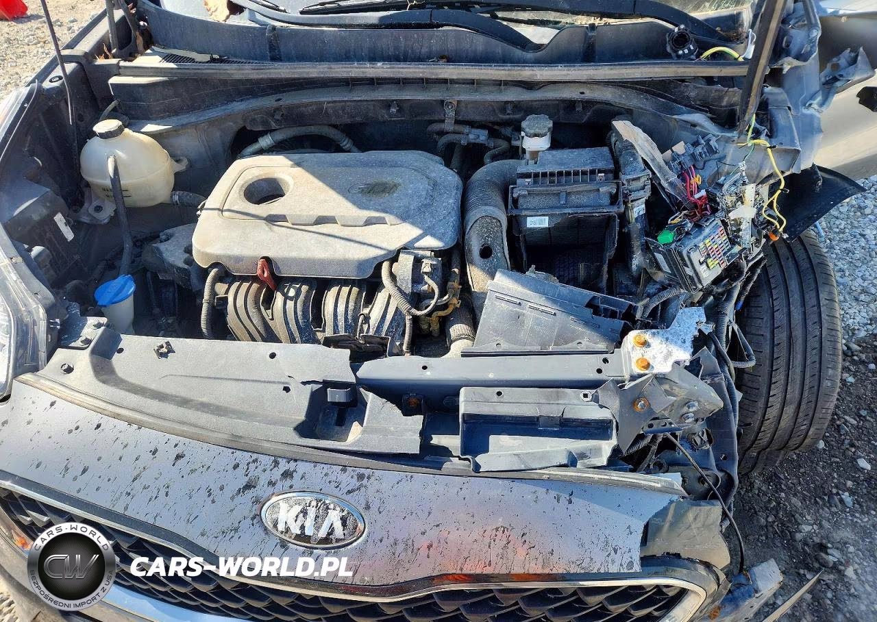 2020 Kia Sportage Lx VIN:KNDPM3AC8L7648419 - 12