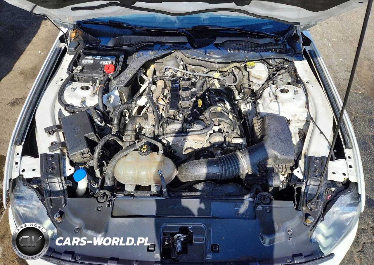 2023 Ford Mustang VIN:1FA6P8TH0P5105131 - 11