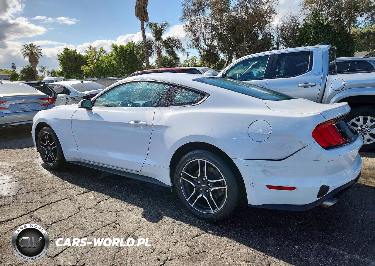 2023 Ford Mustang VIN:1FA6P8TH0P5105131 - 2
