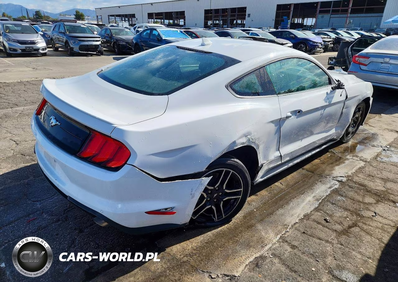 2023 Ford Mustang VIN:1FA6P8TH0P5105131 - 3