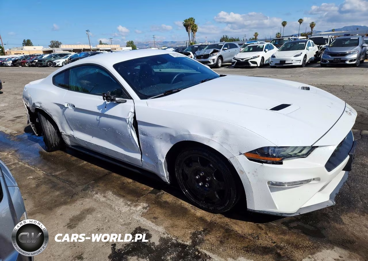 2023 Ford Mustang VIN:1FA6P8TH0P5105131 - 4
