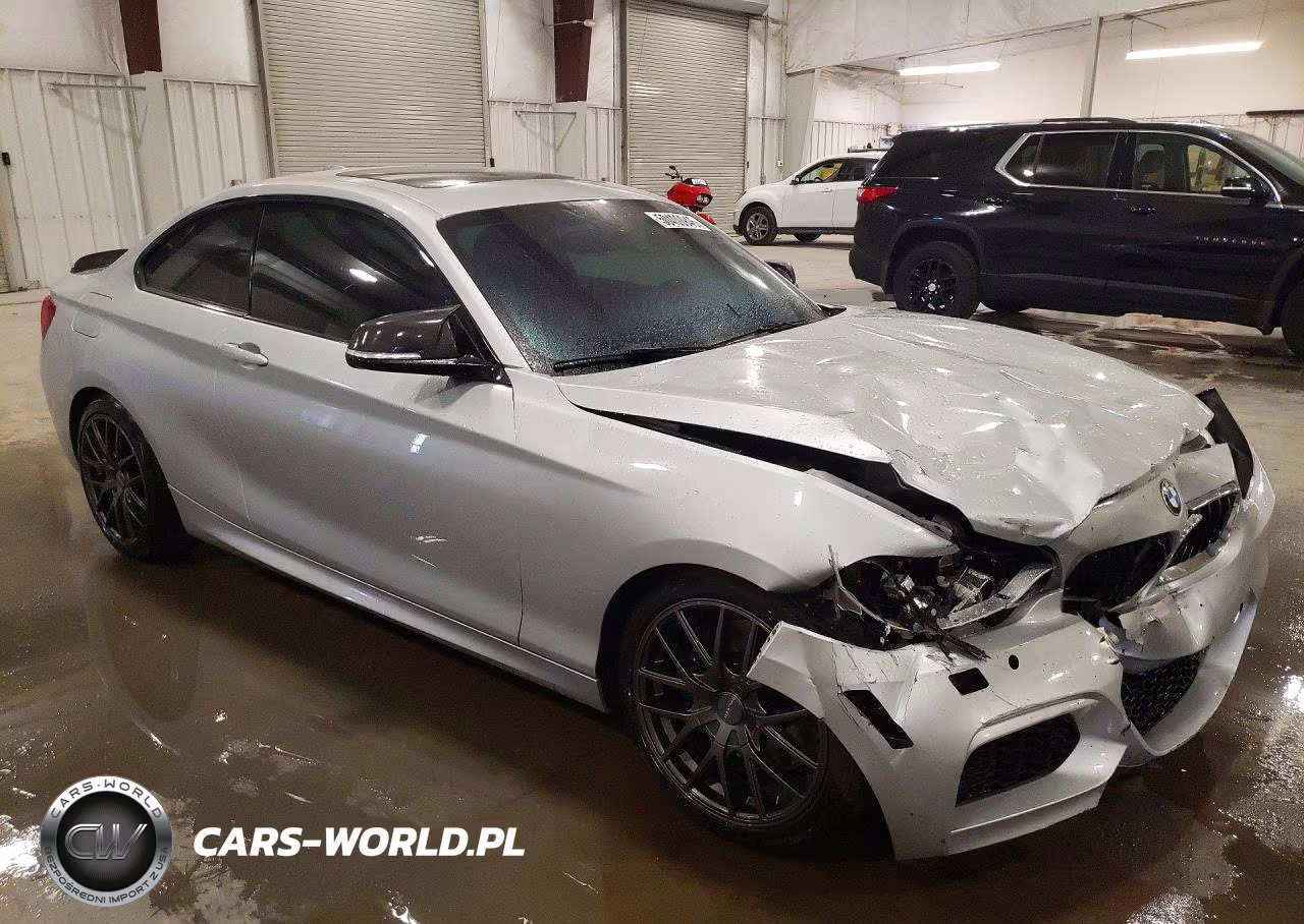 2015 BMW M235I xDrive VIN:WBA1J9C51FV371187 - 4