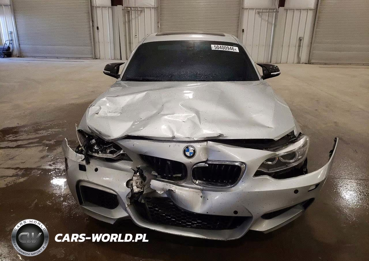 2015 BMW M235I xDrive VIN:WBA1J9C51FV371187 - 5