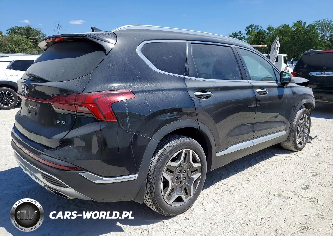2022 Hyundai Santa Fe Limited VIN:5NMS44AL5NH464454 - 3