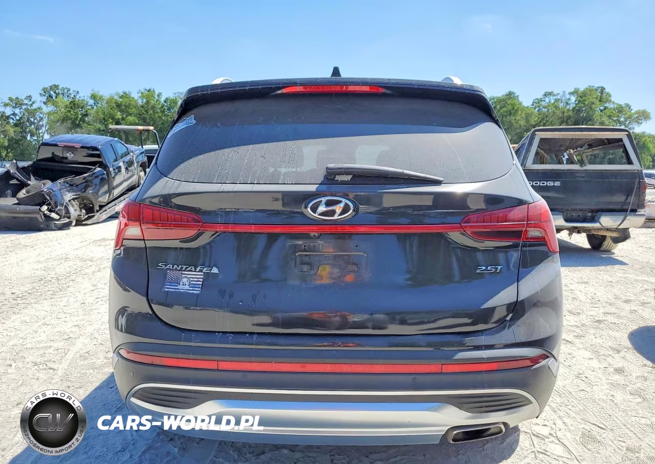 2022 Hyundai Santa Fe Limited VIN:5NMS44AL5NH464454 - 6