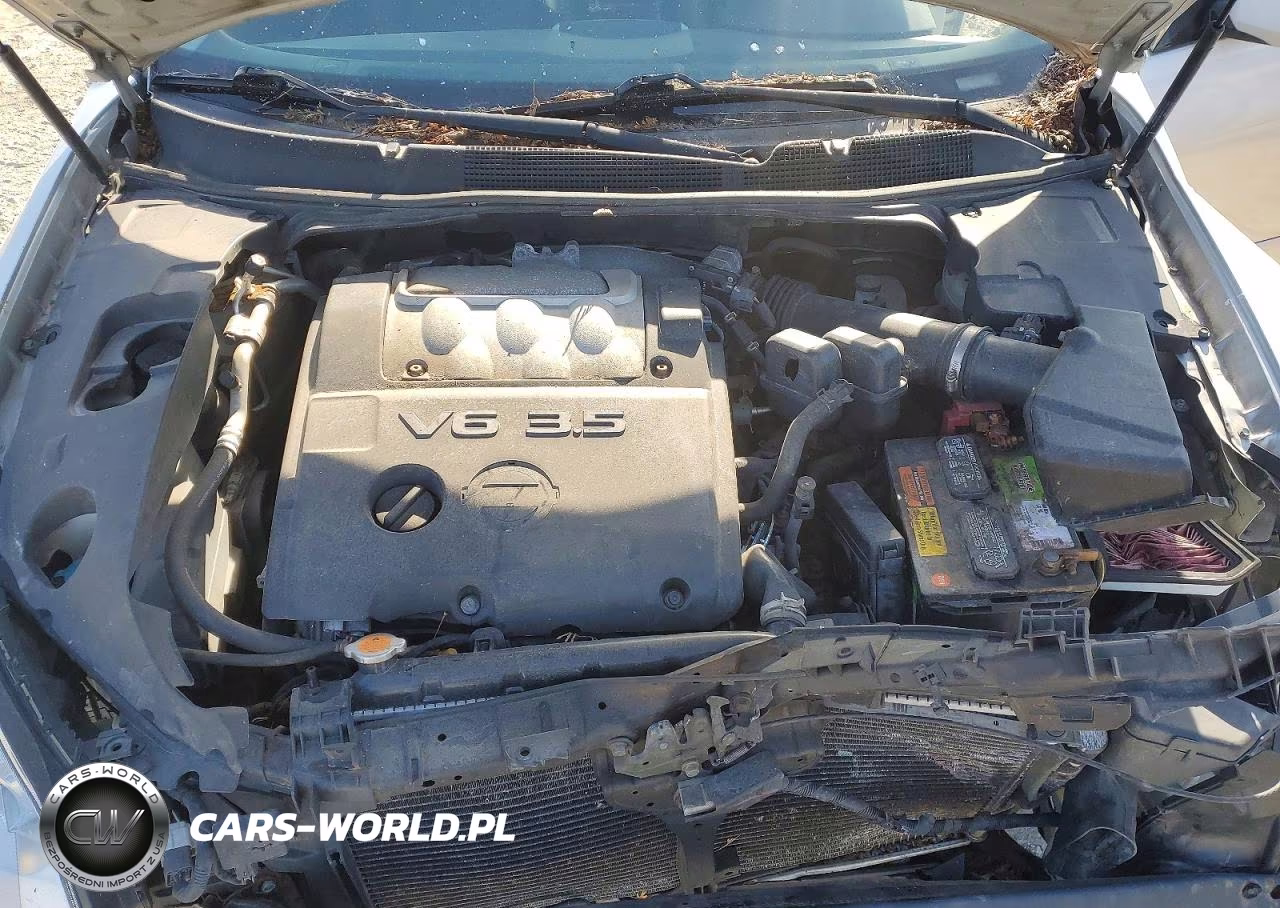 2007 Nissan Maxima 3.5 Se VIN:1N4BA41E67C805653 - 11
