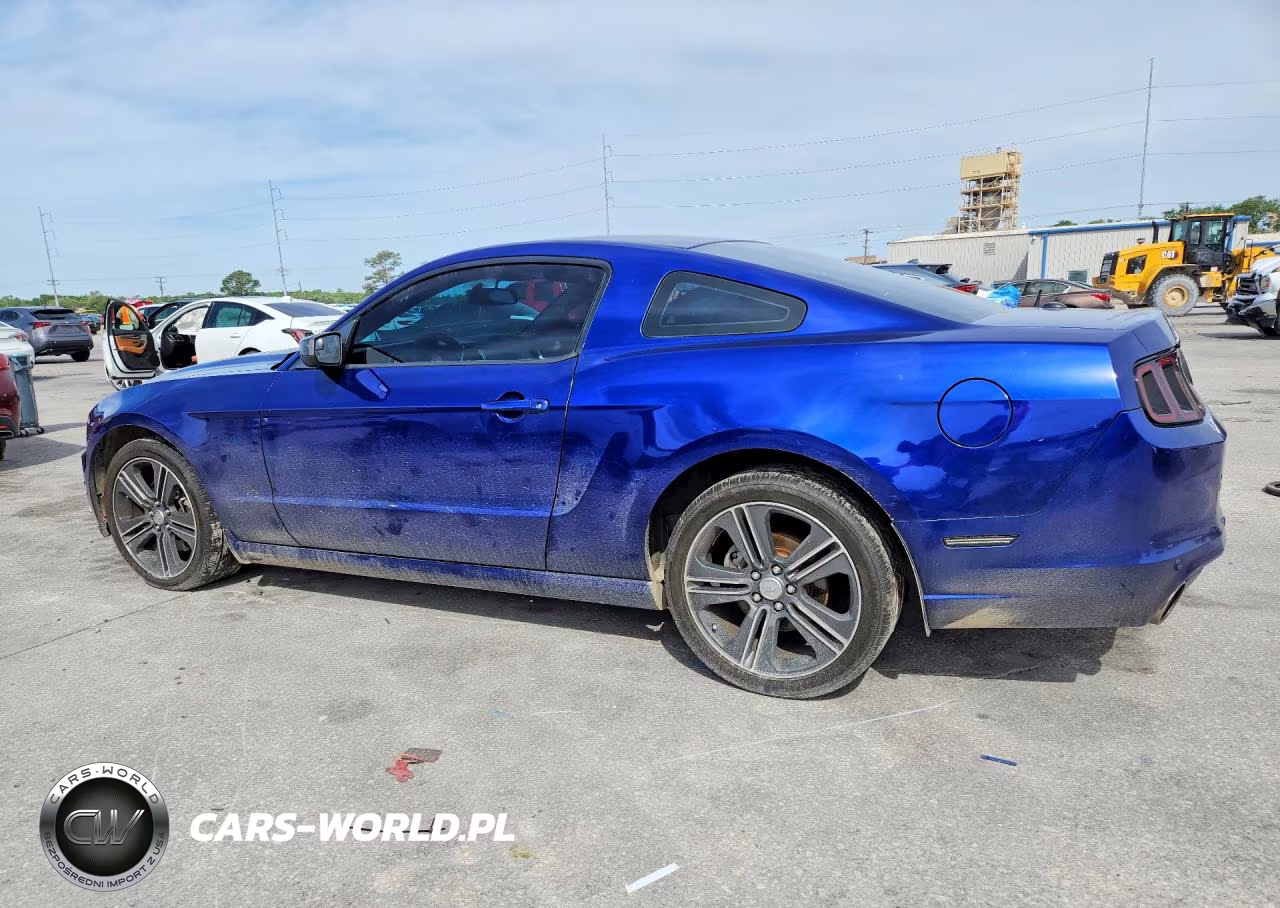 2013 Ford Mustang VIN:1ZVBP8AM0D5250560 - 2