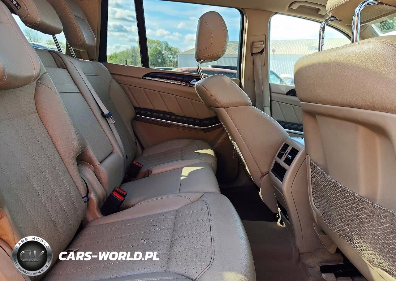 2013 Mercedes-Benz Gl-Glass VIN:4JGDF2EE8DA184695 - 11