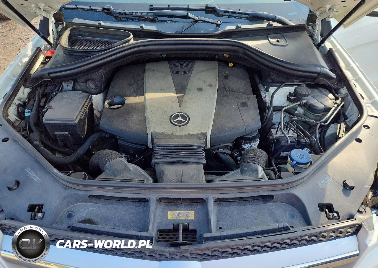 2013 Mercedes-Benz Gl-Glass VIN:4JGDF2EE8DA184695 - 12