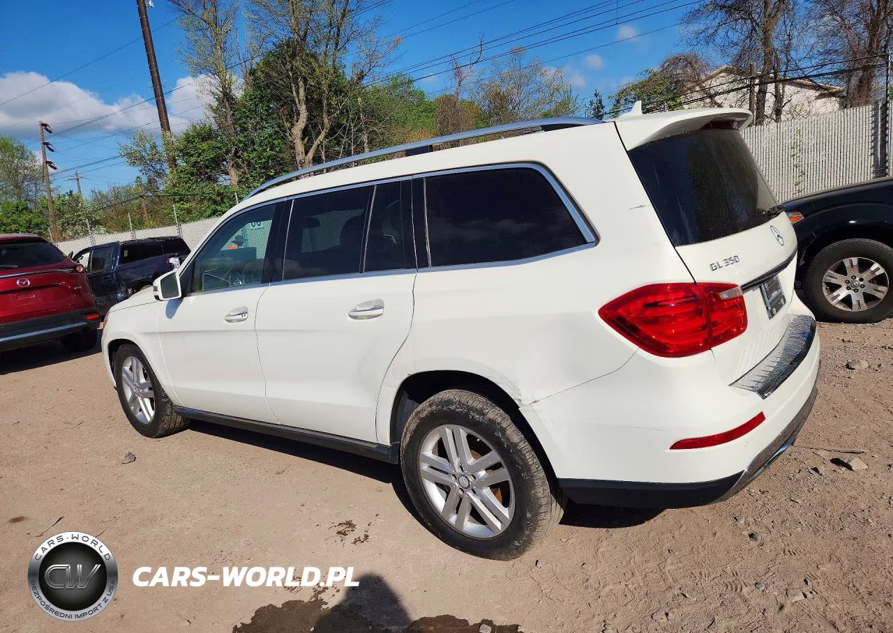 2013 Mercedes-Benz Gl-Glass VIN:4JGDF2EE8DA184695 - 2