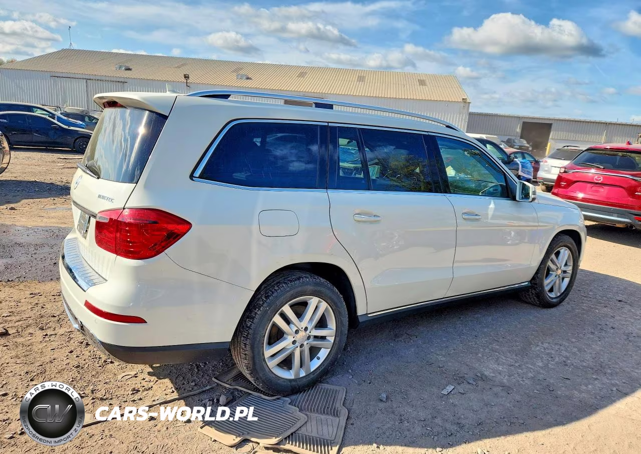 2013 Mercedes-Benz Gl-Glass VIN:4JGDF2EE8DA184695 - 3