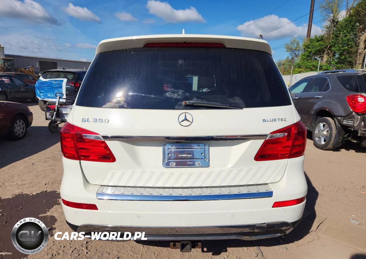 2013 Mercedes-Benz Gl-Glass VIN:4JGDF2EE8DA184695 - 6