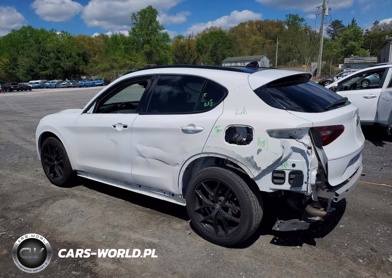 2020 Alfa Romeo Stelvio VIN:ZASPAJAN3L7C93746 - 2