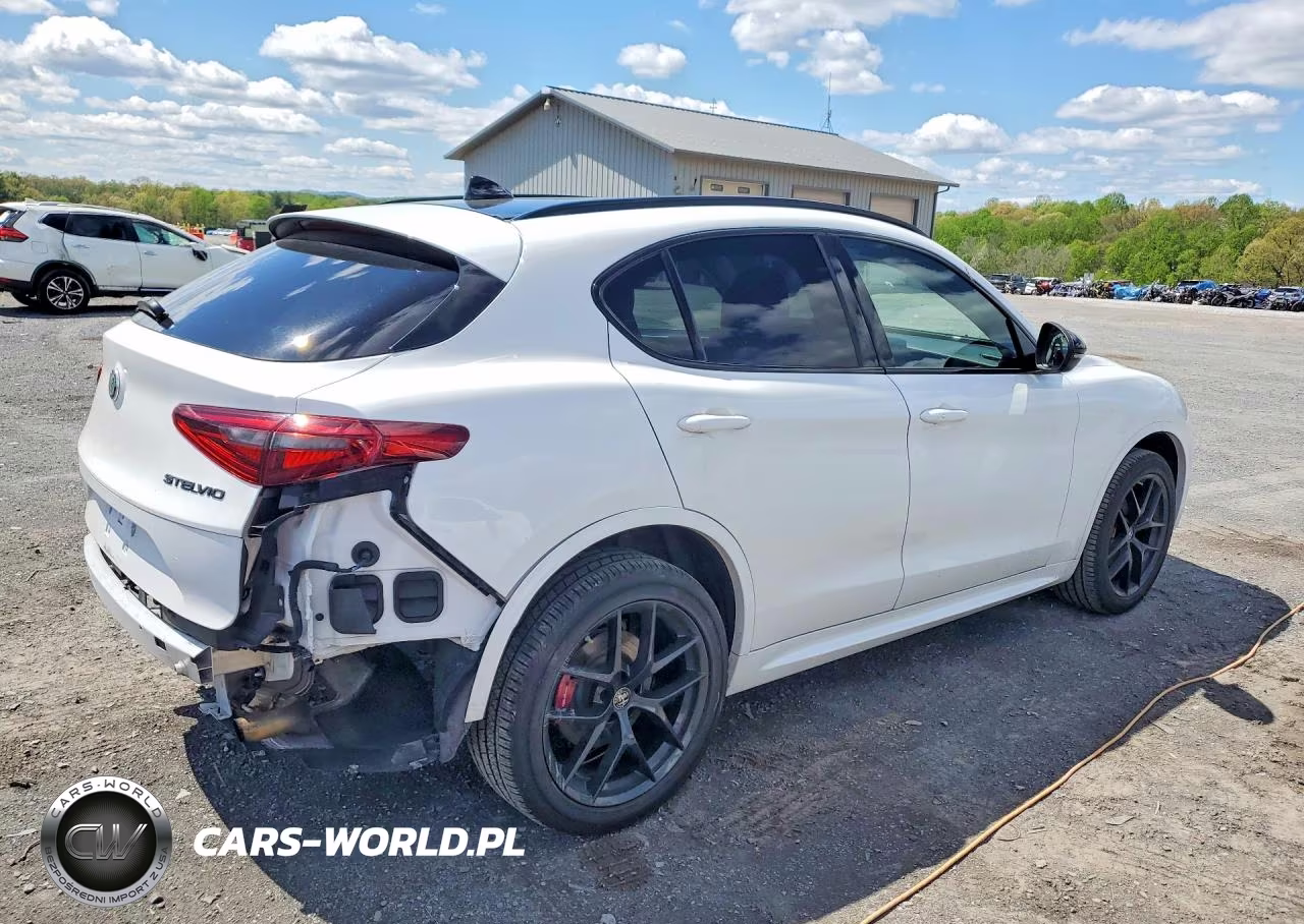 2020 Alfa Romeo Stelvio VIN:ZASPAJAN3L7C93746 - 3