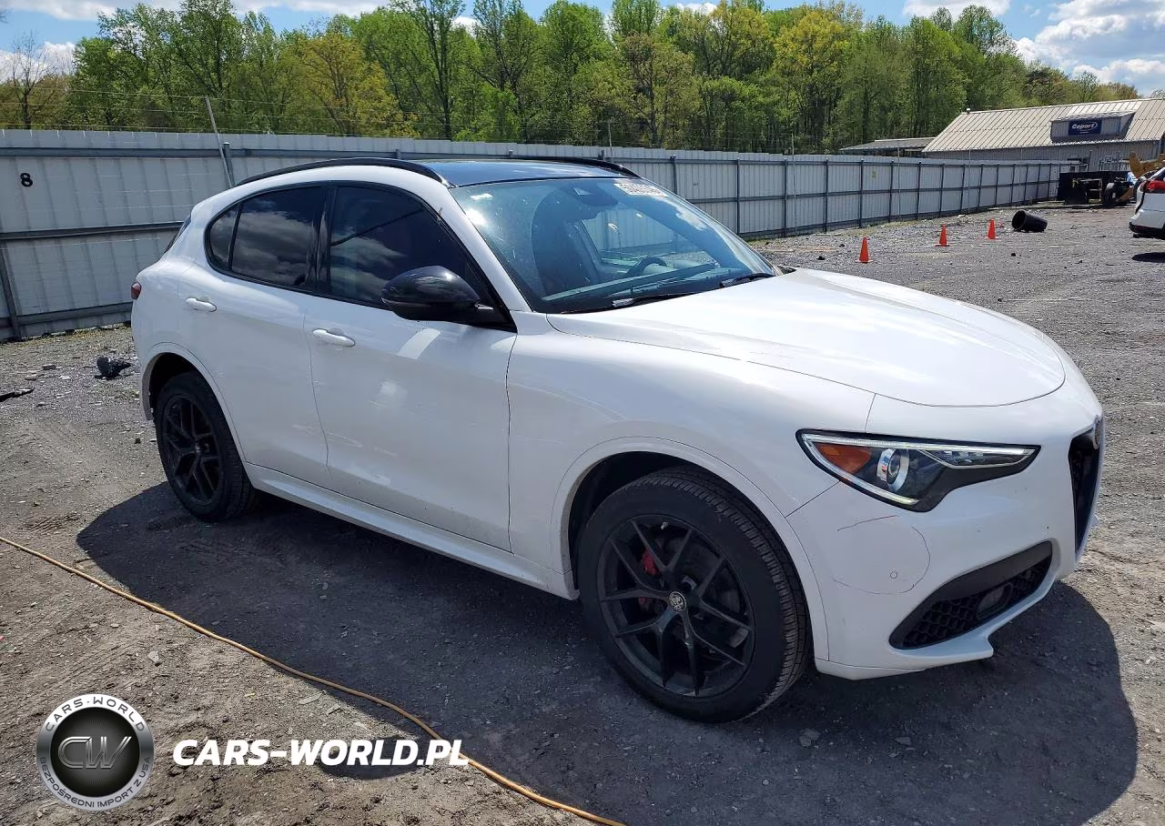 2020 Alfa Romeo Stelvio VIN:ZASPAJAN3L7C93746 - 4