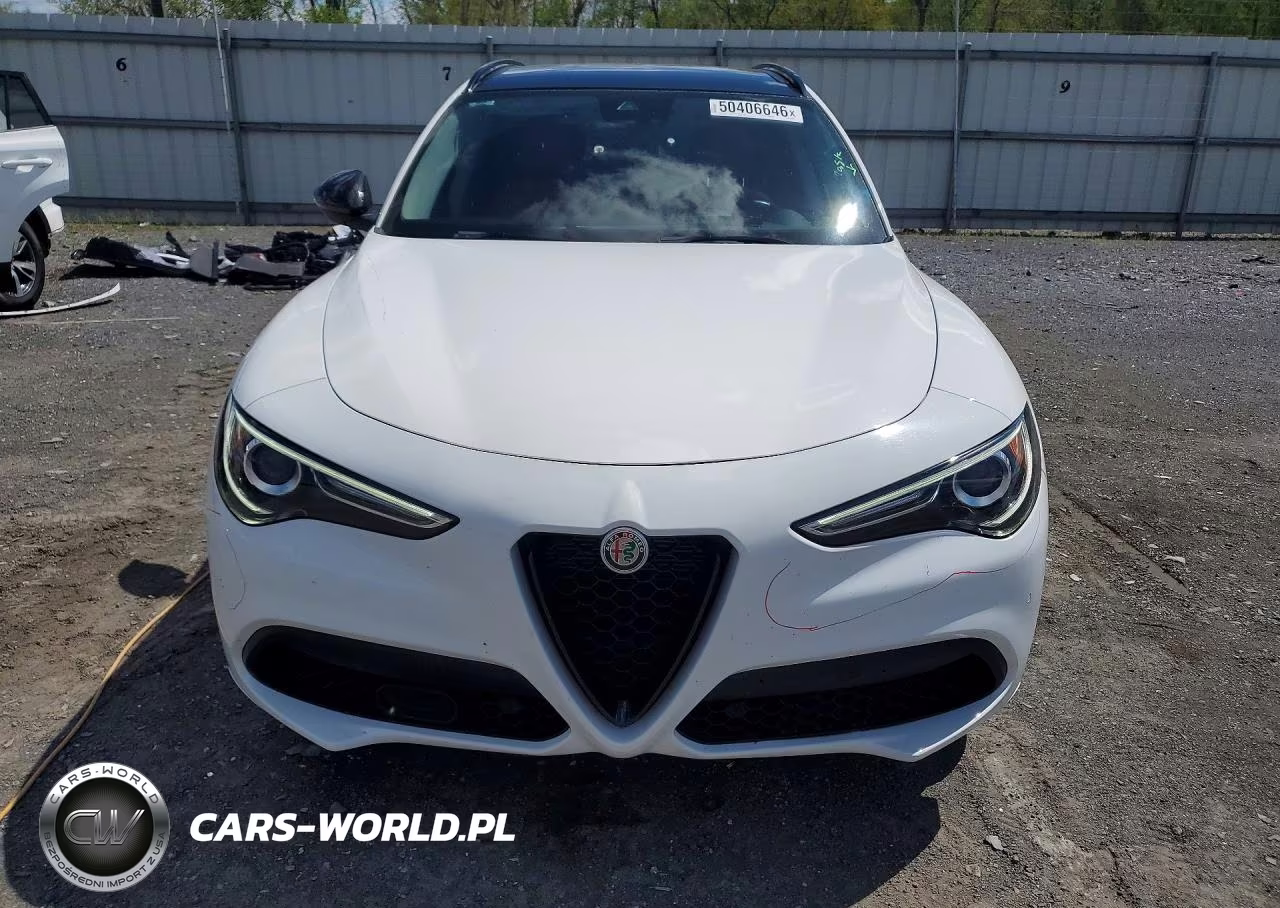 2020 Alfa Romeo Stelvio VIN:ZASPAJAN3L7C93746 - 5