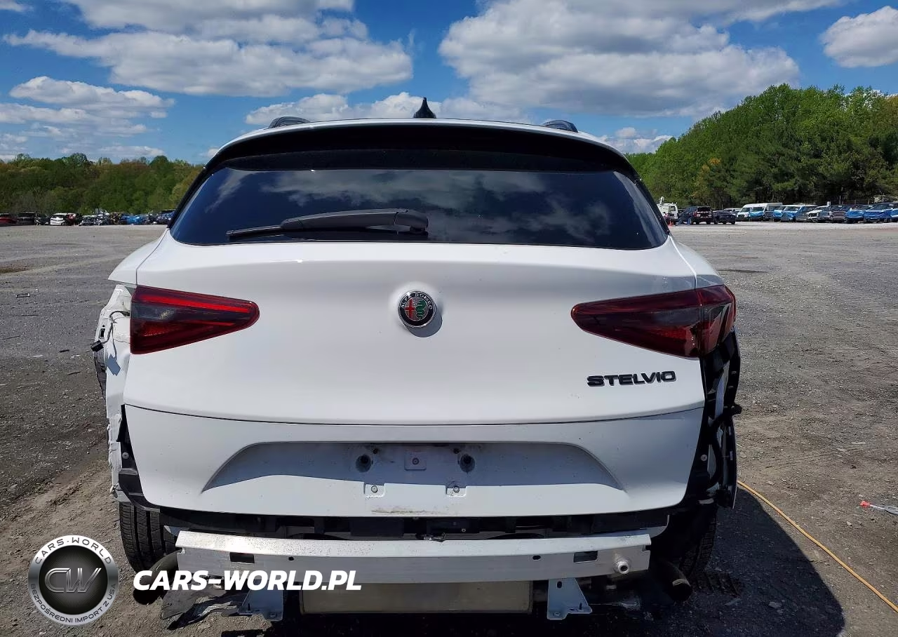 2020 Alfa Romeo Stelvio VIN:ZASPAJAN3L7C93746 - 6