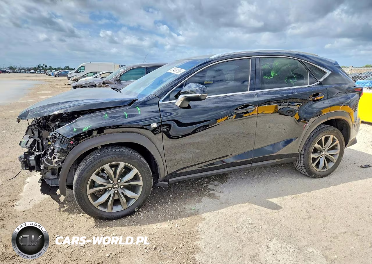 2019 Lexus Nx 300 F Sport