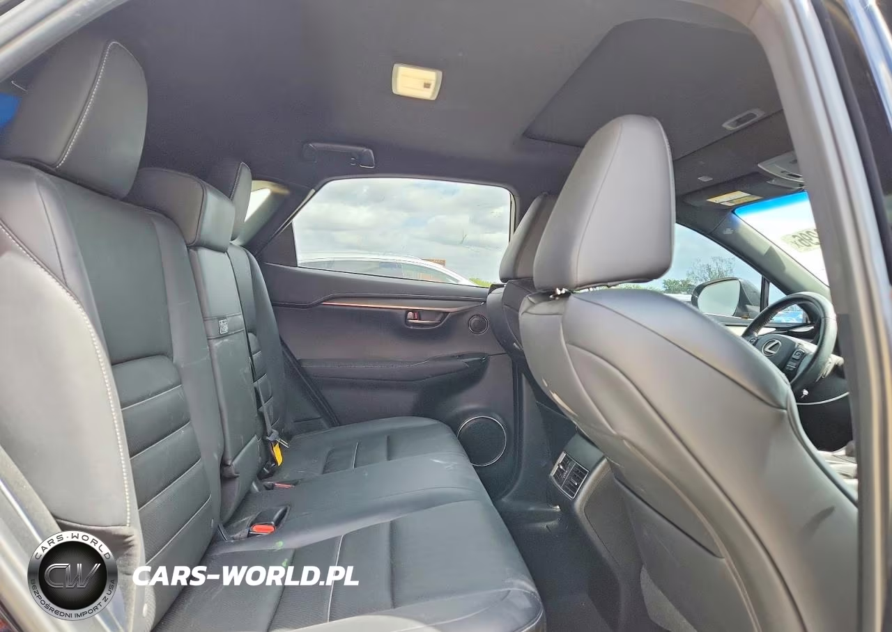2019 Lexus Nx 300 F Sport VIN:JTJYARBZ7K2141216 - 11