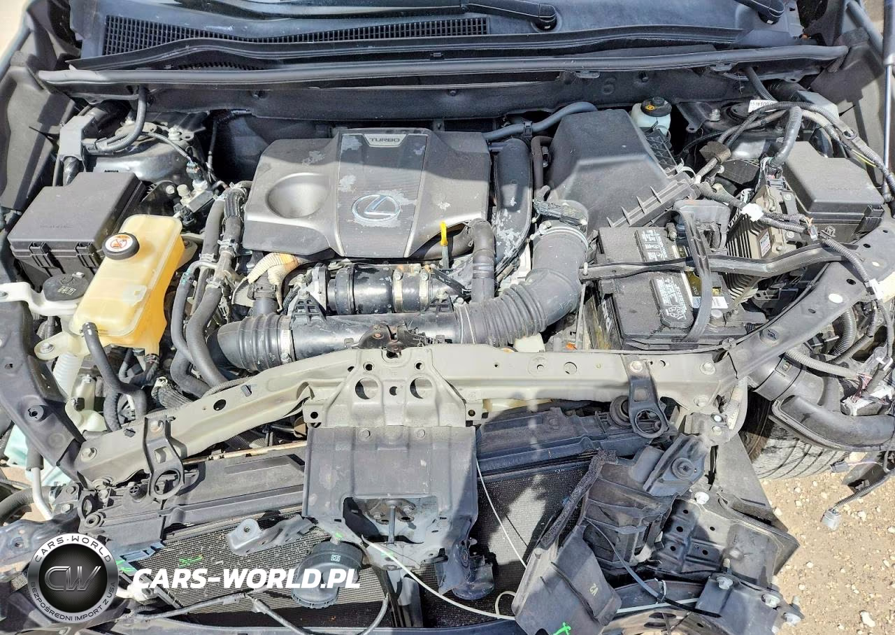 2019 Lexus Nx 300 F Sport VIN:JTJYARBZ7K2141216 - 12