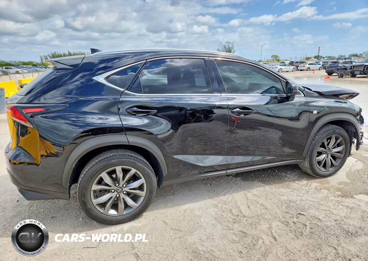 2019 Lexus Nx 300 F Sport VIN:JTJYARBZ7K2141216 - 3