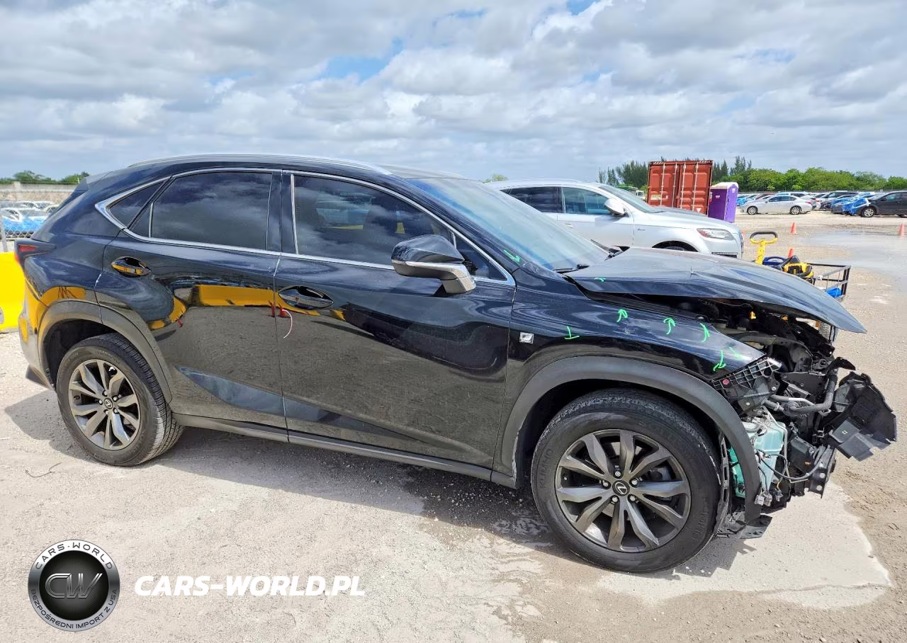 2019 Lexus Nx 300 F Sport VIN:JTJYARBZ7K2141216 - 4