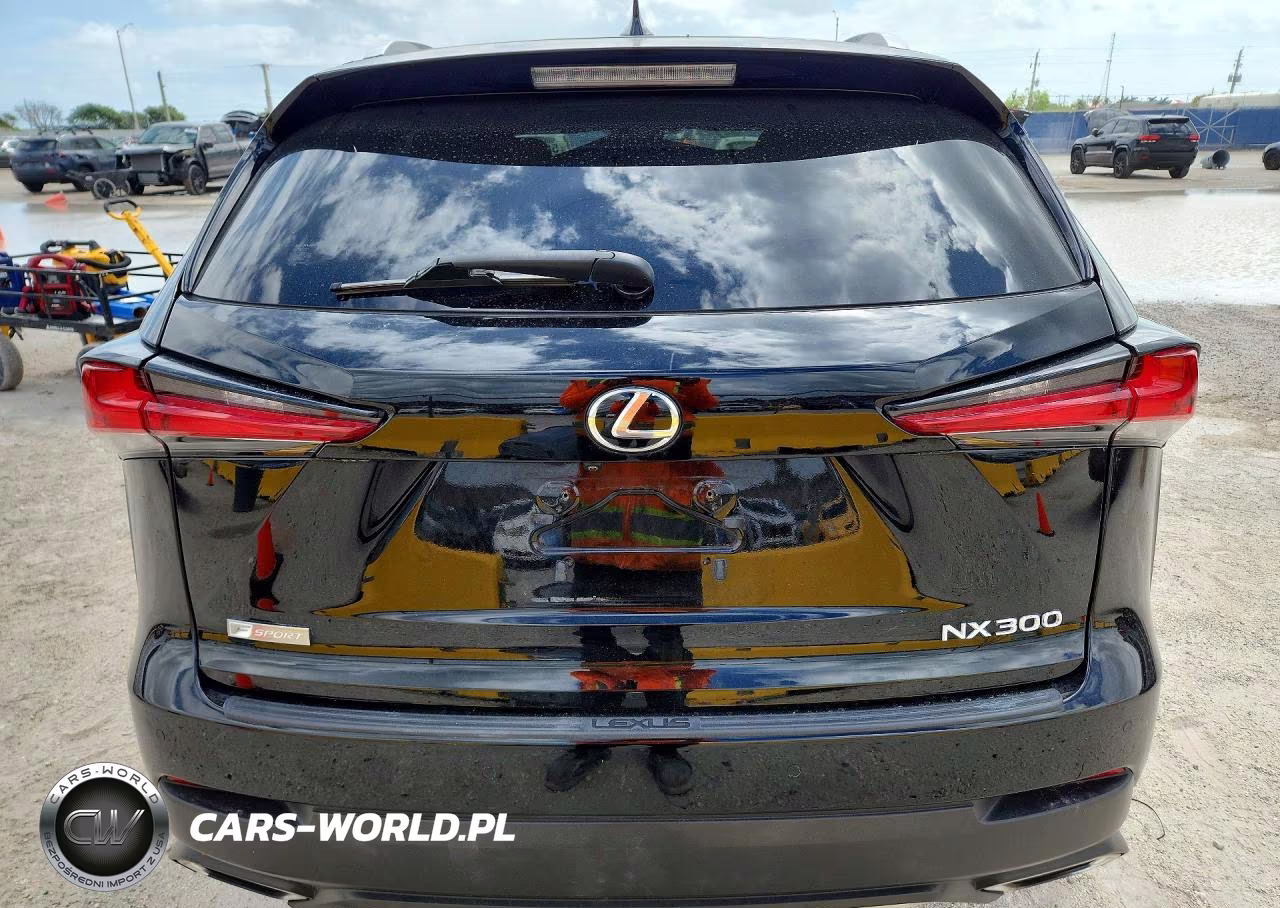 2019 Lexus Nx 300 F Sport VIN:JTJYARBZ7K2141216 - 6