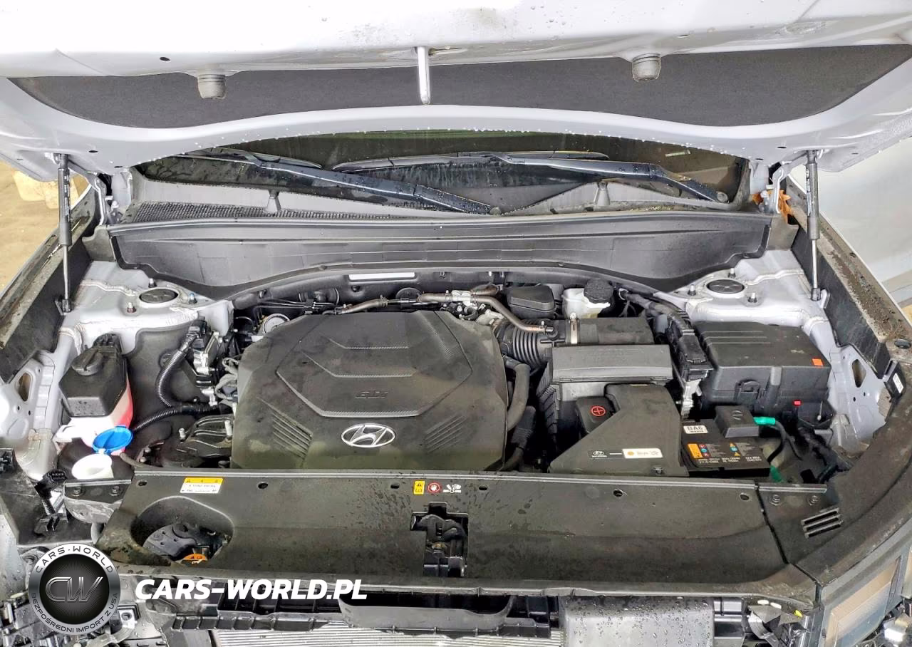 2024 Hyundai Palisade Limited VIN:KM8R5DGE6RU746505 - 12