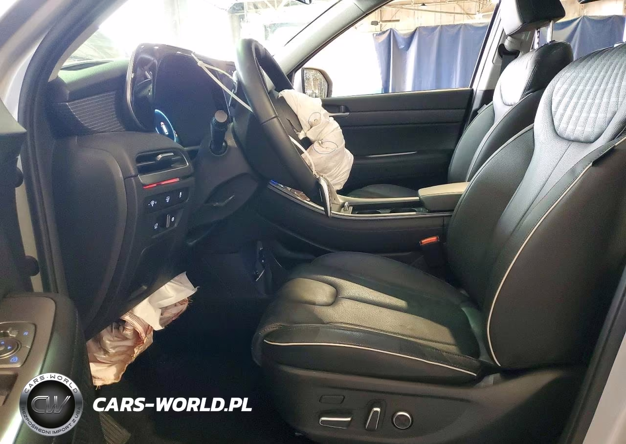 2024 Hyundai Palisade Limited VIN:KM8R5DGE6RU746505 - 7