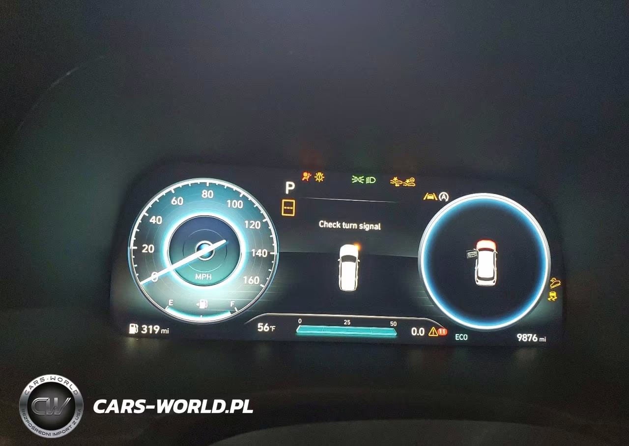 2024 Hyundai Palisade Limited VIN:KM8R5DGE6RU746505 - 9