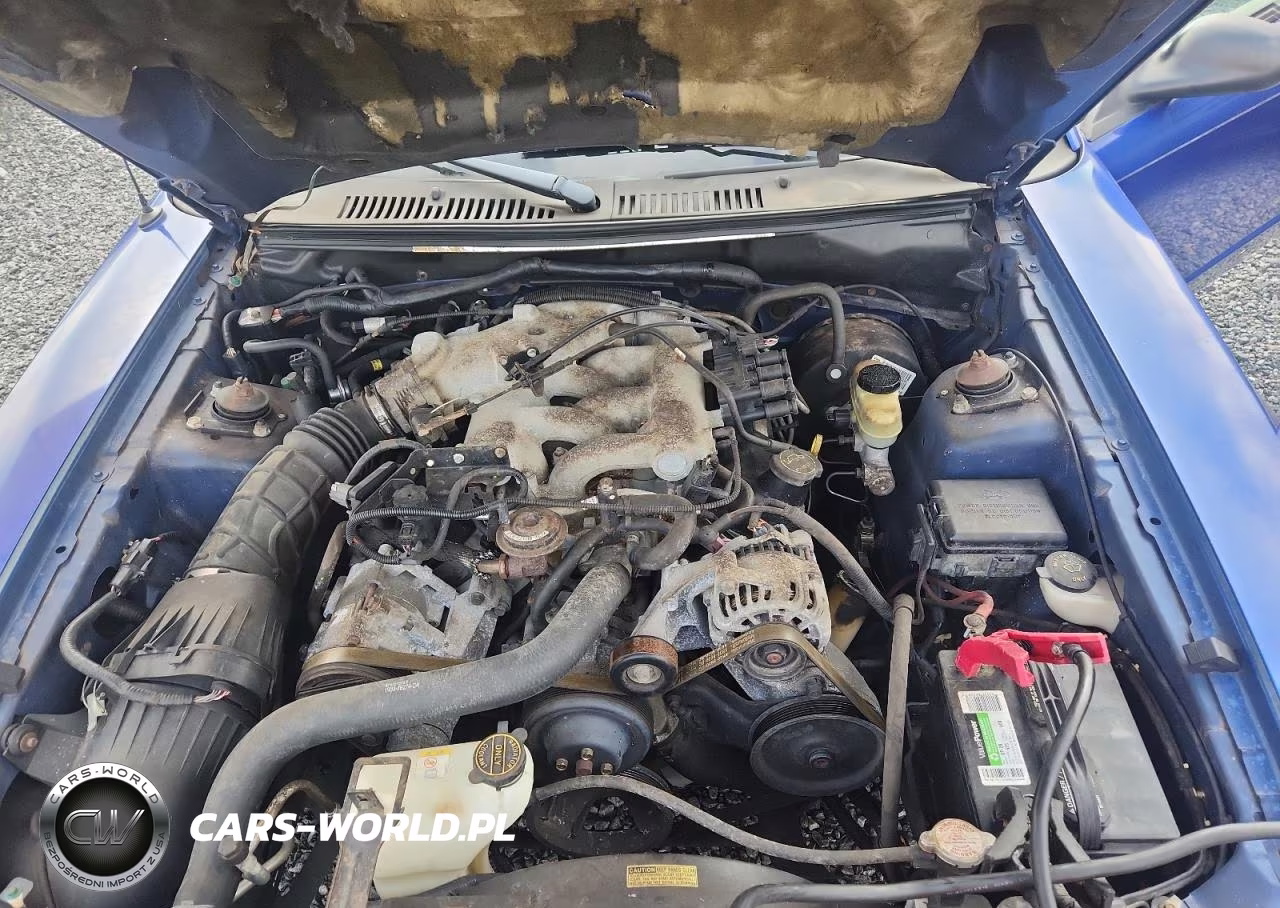 2003 Ford Mustang VIN:1FAFP44443F348529 - 11