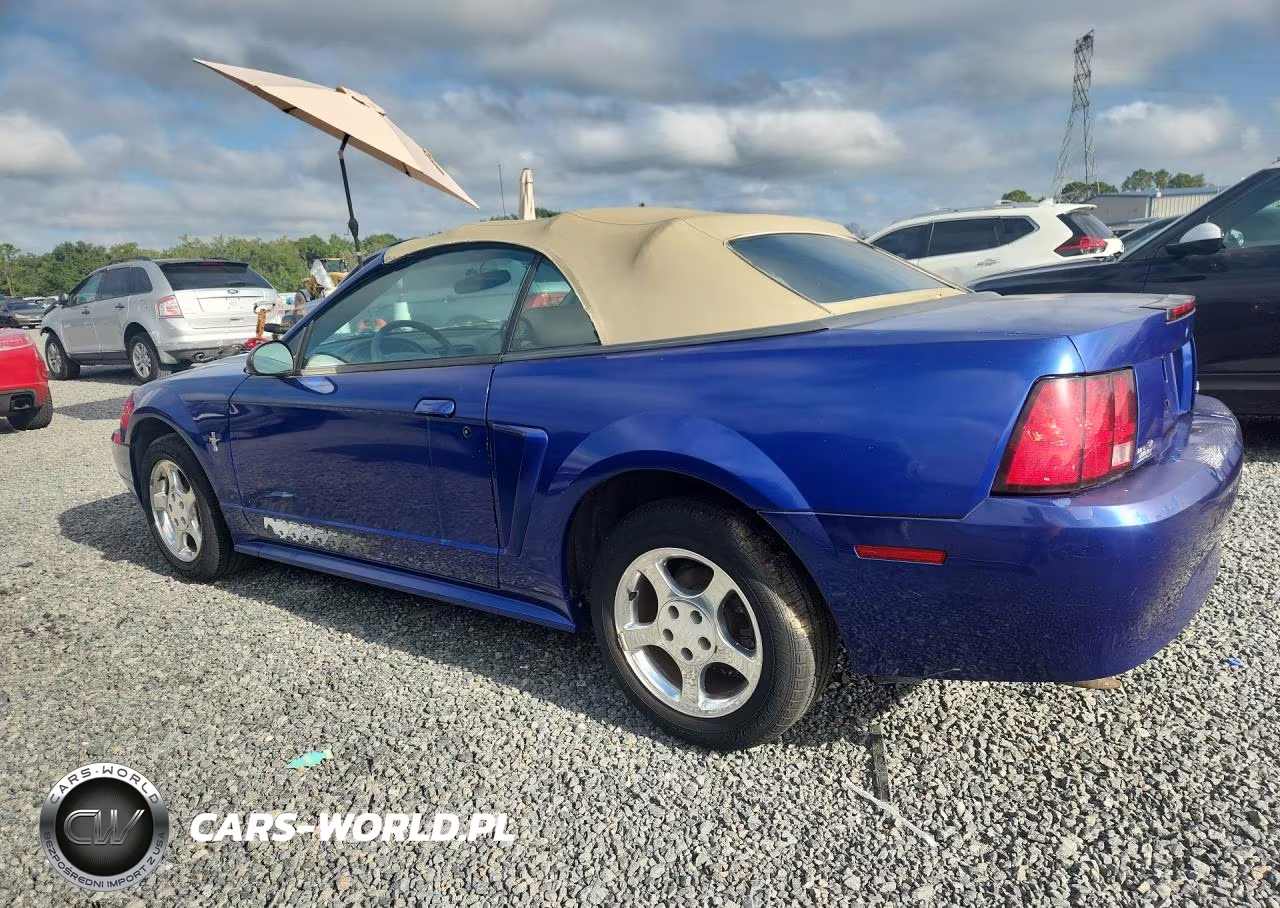2003 Ford Mustang VIN:1FAFP44443F348529 - 2
