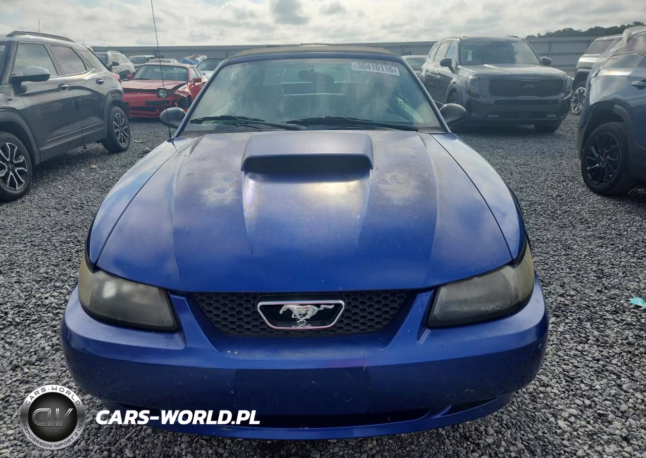 2003 Ford Mustang VIN:1FAFP44443F348529 - 5