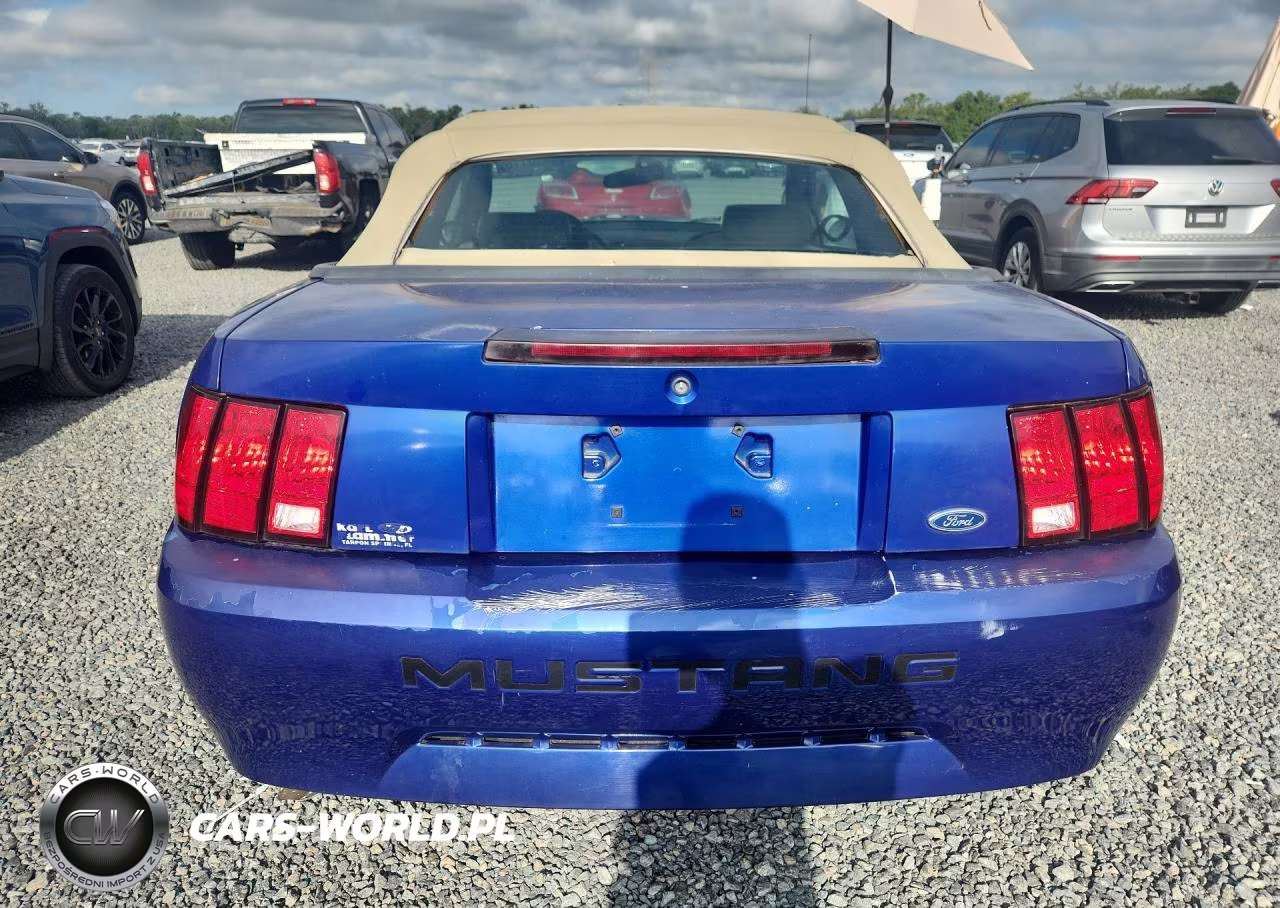 2003 Ford Mustang VIN:1FAFP44443F348529 - 6