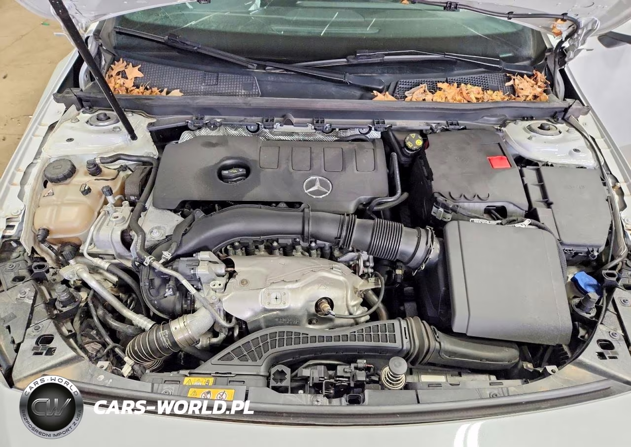 2020 Mercedes-Benz A 220 4Matic VIN:W1K3G4FB5LW044009 - 11
