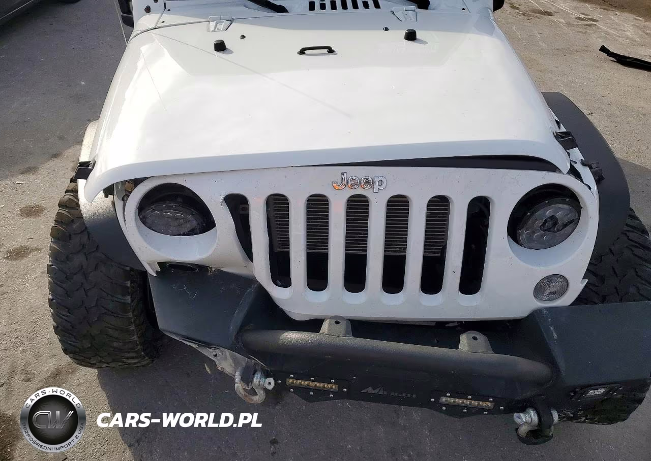 2016 Jeep Wrangler Unlimited Sport VIN:1C4BJWDG7GL169506 - 12