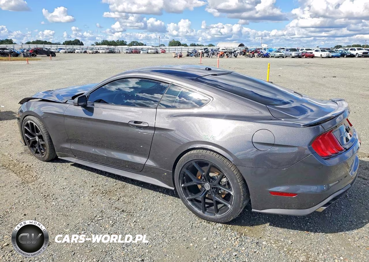 2020 Ford Mustang Gt VIN:1FA6P8CF0L5125159 - 2